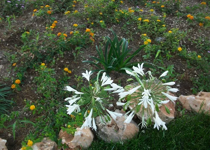 Nocleg ze śniadaniem Il Faletto Trani